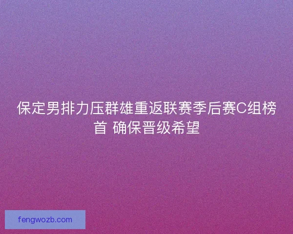 保定男排力压群雄重返联赛季后赛C组榜首 确保晋级希望