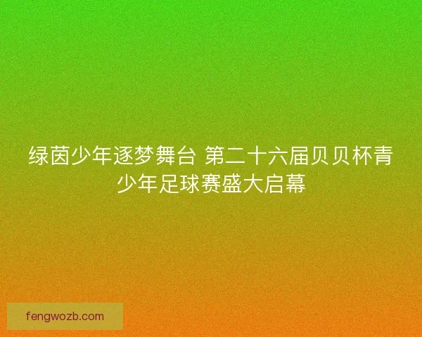 绿茵少年逐梦舞台 第二十六届贝贝杯青少年足球赛盛大启幕