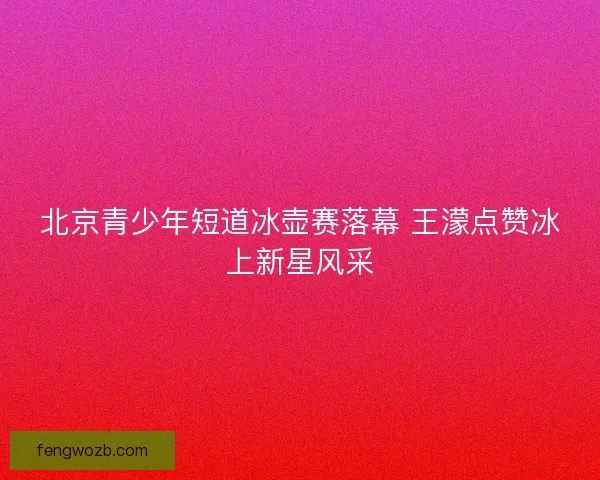 北京青少年短道冰壶赛落幕 王濛点赞冰上新星风采 北京青少年短道冰壶赛落幕 王濛点赞冰上新星风采