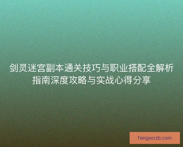 剑灵迷宫副本通关技巧与职业搭配全解析指南深度攻略与实战心得分享