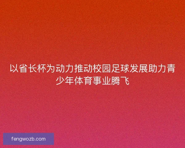 以省长杯为动力推动校园足球发展助力青少年体育事业腾飞